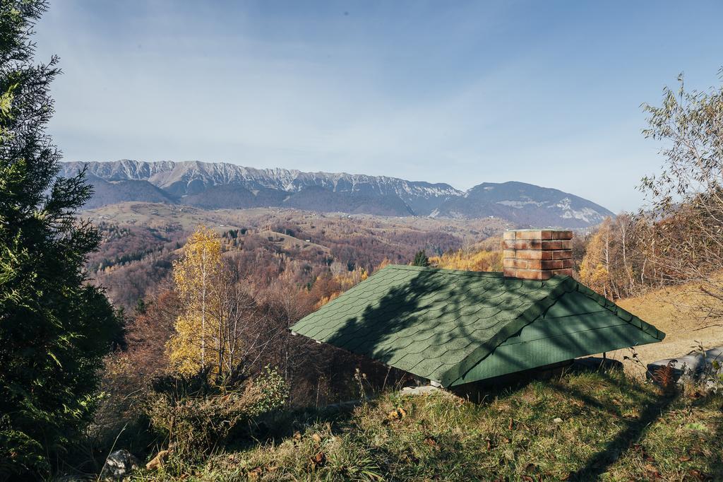 Drumul Carului Villaモイエチウ・デ・ジョス 部屋 写真
