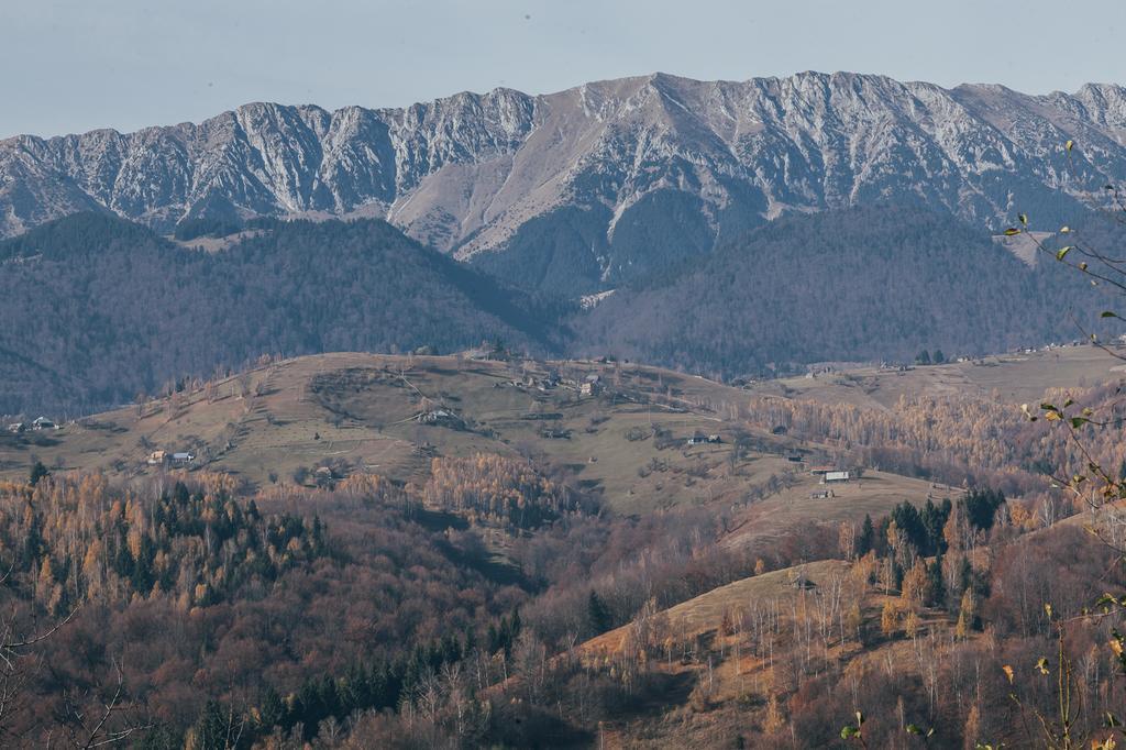 Drumul Carului Villaモイエチウ・デ・ジョス 部屋 写真