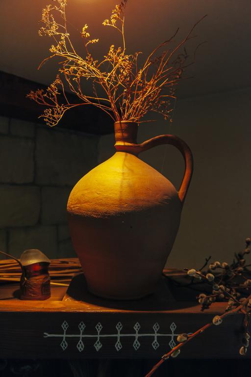 Drumul Carului Villaモイエチウ・デ・ジョス 部屋 写真